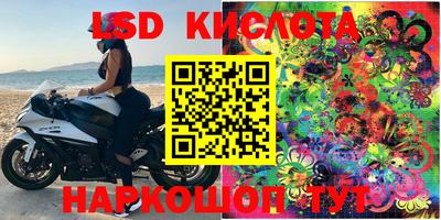 MESCALINE Кингисепп